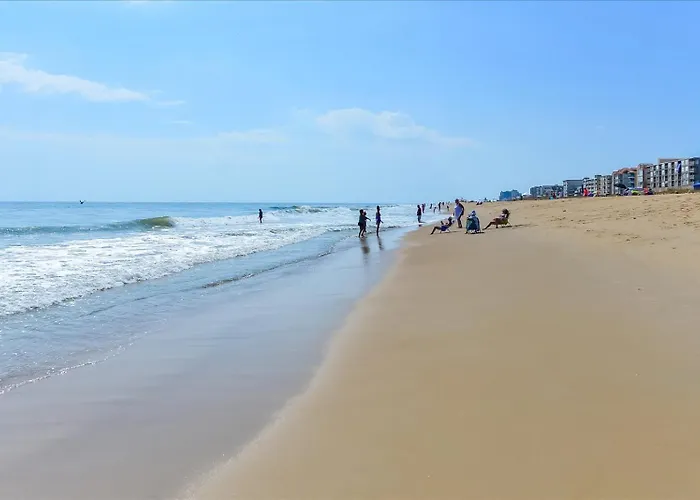 Spacious And Beautiful 1 Bedroom In North Oc With Outdoor Pool!